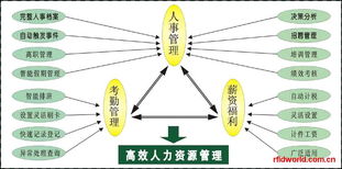 RFID設(shè)備全解析 電子標簽、讀寫器及性能參數(shù)與市場報價